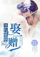 契约婚姻娶一赠一免费阅读