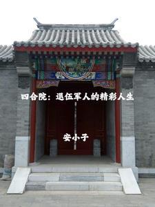退伍回四合院的