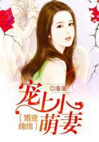 婚意绵绵总裁宠妻好欢喜免费阅读