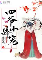 四爷小娇宠TXT百度