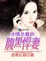 冷酷总裁腹黑妻