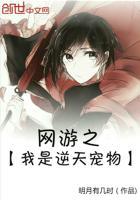 网游之我的宠物是女娲