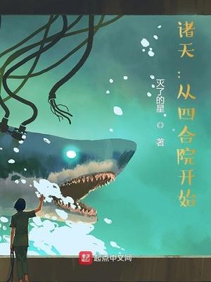 诸天从四合院开始 灭了的星