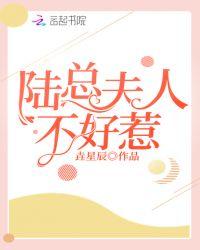 陆总夫人不好惹最新章节更新时间