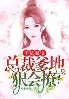 千亿宝宝总裁爹地快投降