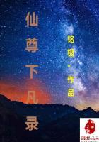 仙尊在下全集