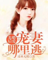 先婚后爱宠妻十八式