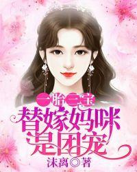 一胎三宝替孕免费阅读