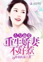 重生八零霸爱俏娇妻全文免费阅读