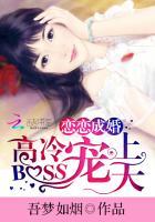 恋恋成婚高冷BOSS宠上天 吾梦如烟