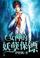 女神的妖孽保镖伊秋枫txt