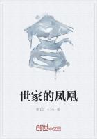 凤凰世家瓷砖几线品牌