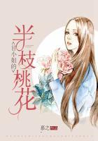 甘小姐的半枝桃花免费