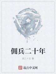 佣兵二十年 风三十五