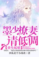 重生暖婚墨少撩妻请低调