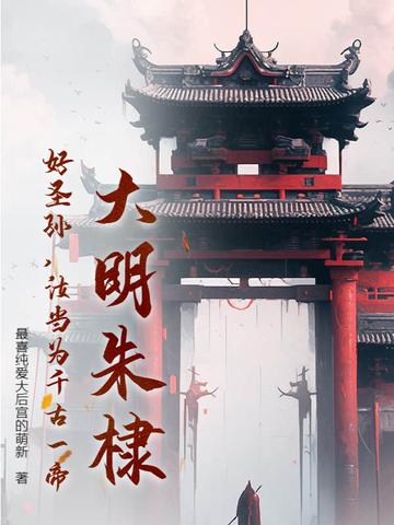 大明朱棣好圣孙