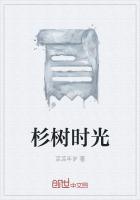 杉树村怎么样