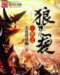 三国之狼觊天下