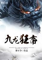 九龙狂婿