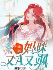 一胎三宝妈咪又逃走了