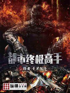 都市终级高手