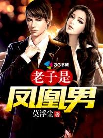 老子是凤凰男什么意思