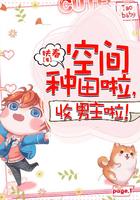 收男主啦免费阅读