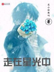 我走在星光和灯光掩映的路上