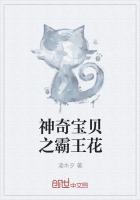 神奇宝贝霸王花种族值