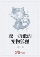 折纸视频教程大全狐狸