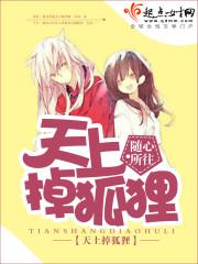 狐狸夫人今天掉