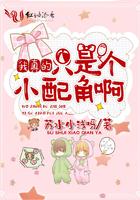 我真的只是一个