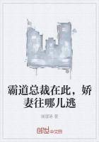 霸道总裁娇妻哪里逃