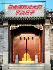 我是刘光天最新章节列表