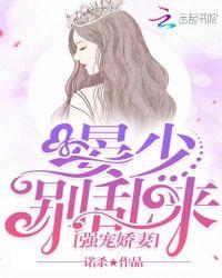 晏少私宠小甜妻