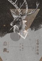 总裁爱你算我输免费阅读