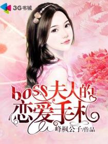 boss夫人又打人了免费听