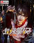 超级掌教奇书网下武
