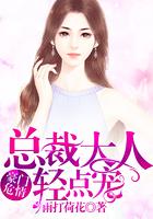豪门盛宠总裁大人轻一点