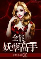 全能妖孽高手 沐野孤城
