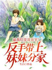 哥哥替妹妹挡枪