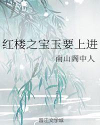 红楼之宝玉要上进 南山阁中人
