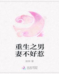 重生之男妻不得宠