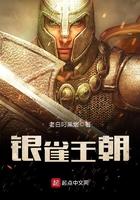 银雀科技有限公司