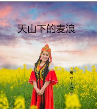 天山麦海在哪里