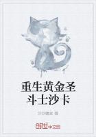 重生黄金圣斗士欢乐叶