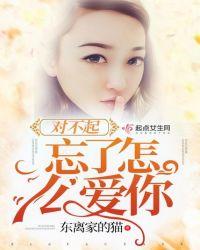 忘了怎么爱你是什么歌