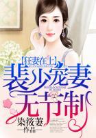 裴少又在狂撒糖免费阅读