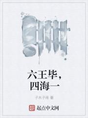 六王毕四海一打一红楼梦人名