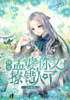 孟婆她难撩快穿